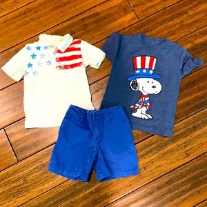Patriotic lot